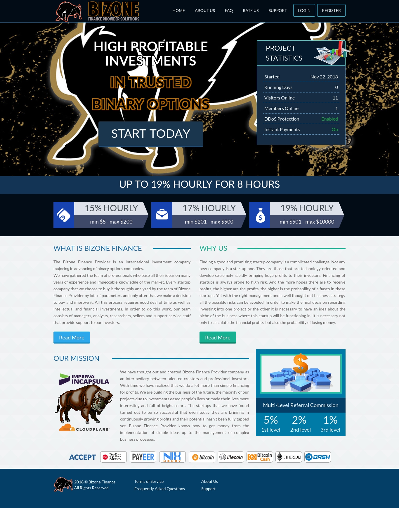 Investment project Bizone