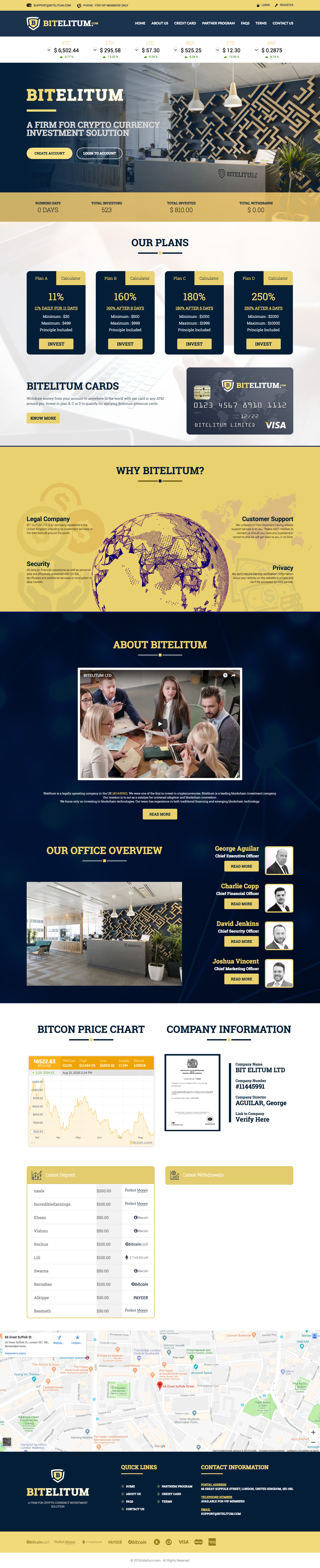 Invest project Bit Elitum LTD