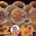 Is It Worth Buying Bitcoin in 2019?