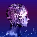 Neural implant helped an ALS patient transmit almost 2 million words