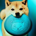 SHIB燃烧率达到6个月高点：柴犬币价格会有反应吗？