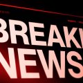 2 Altcoins Just Got Wall Street's Stamp of Approval: What Happens Next?
