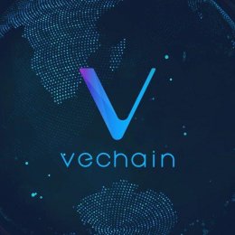 VeChain (VEN) Cryptocurrency Review