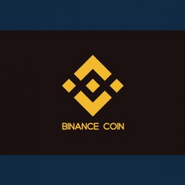 Binance Coin (BNB) Cryptocurrency Review