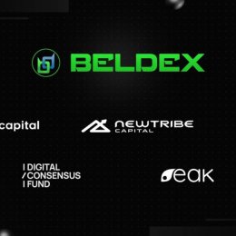 Beldex筹集800万美元以扩展Web3和AI的隐私基础设施