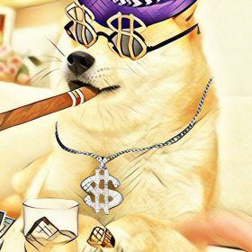 Dogecoin cryptocurrency perspectivity
