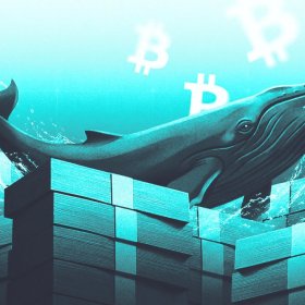 What Crypto Whales Are Buying and Selling as August 2026 and the Fed Decision Near