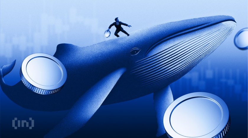 Whales Rush to Buy Chainlink After Standard Chartered’s 2030 Price Forecast